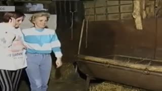 Ала бұзау арық түрікмен әйелінің қырылған мысығын ақырын жалайды